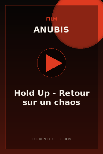 Hold Up - Retour sur un chaos