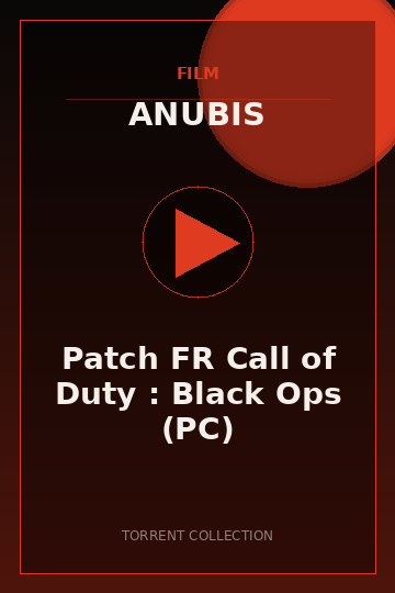 Patch FR Call of Duty : Black Ops (PC)