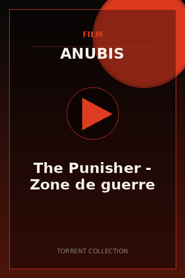 The Punisher - Zone de guerre
