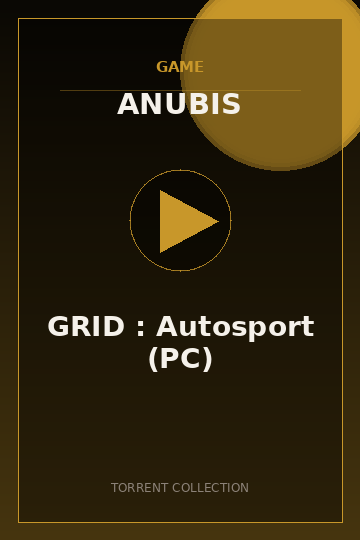 GRID : Autosport (PC)