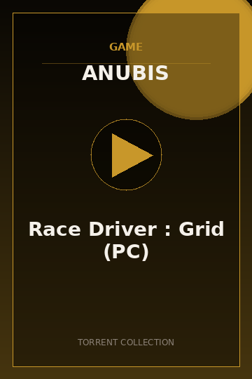 Race Driver : Grid (PC)