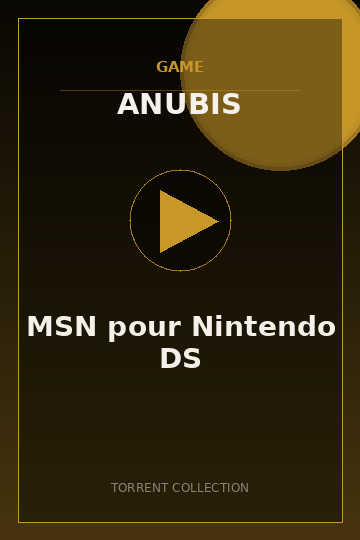 MSN pour Nintendo DS