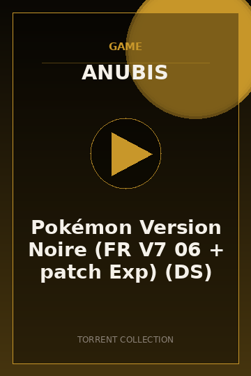 Pokémon Version Noire (FR V7 06 + patch Exp) (DS)
